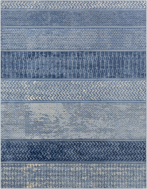 Nampa Area Rug - Clearance