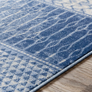 Nampa Area Rug - Clearance