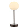 Natalia modern farmhouse iron rechargeable integrated portable led table lamp - Tuesday Morning - Table Lamps