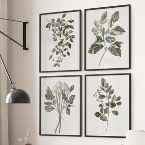 Vintage Plant Drawing Posters. Set of 4 Floral Art Prints