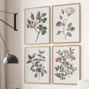 Vintage Floral Set of 4 Prints. Botanical Wall Art