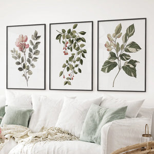 Floral Set of 3 Piece Wall Art. Magnolia, Honeysuckle Prints
