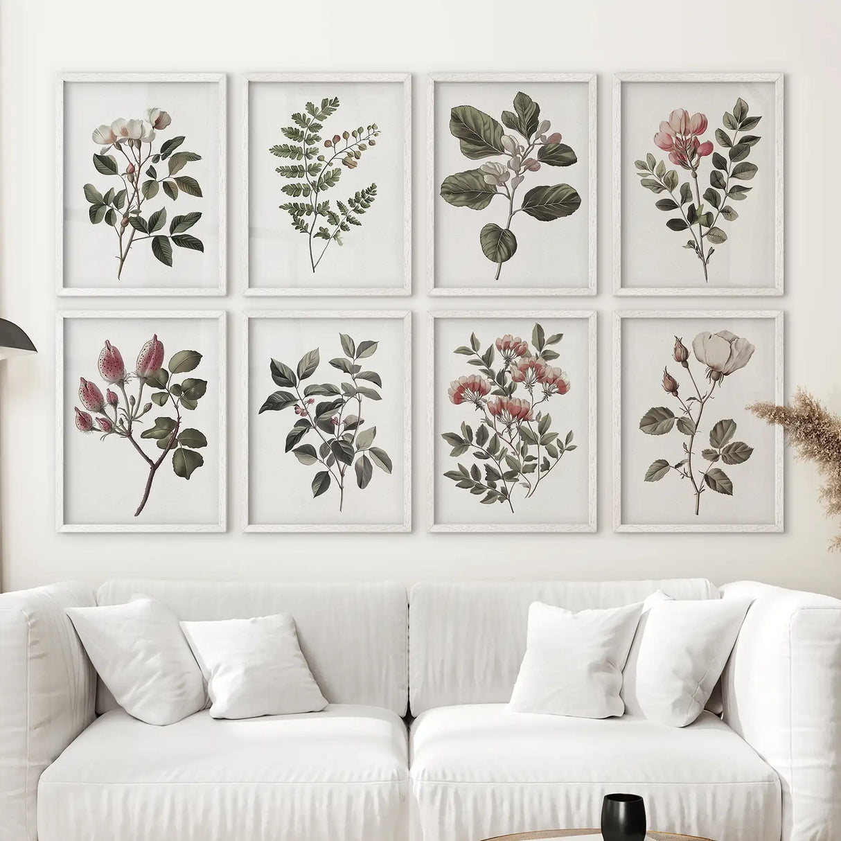 Antique Botanical set of 8 Prints. White Rose Wall Art
