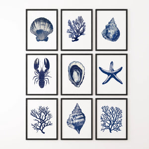 Set of 9 Coastal Prints. Lobster, Starfish, Seaweed, Shell