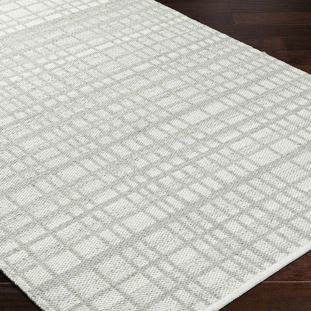 Nissa Light Gray Area Rug - Clearance