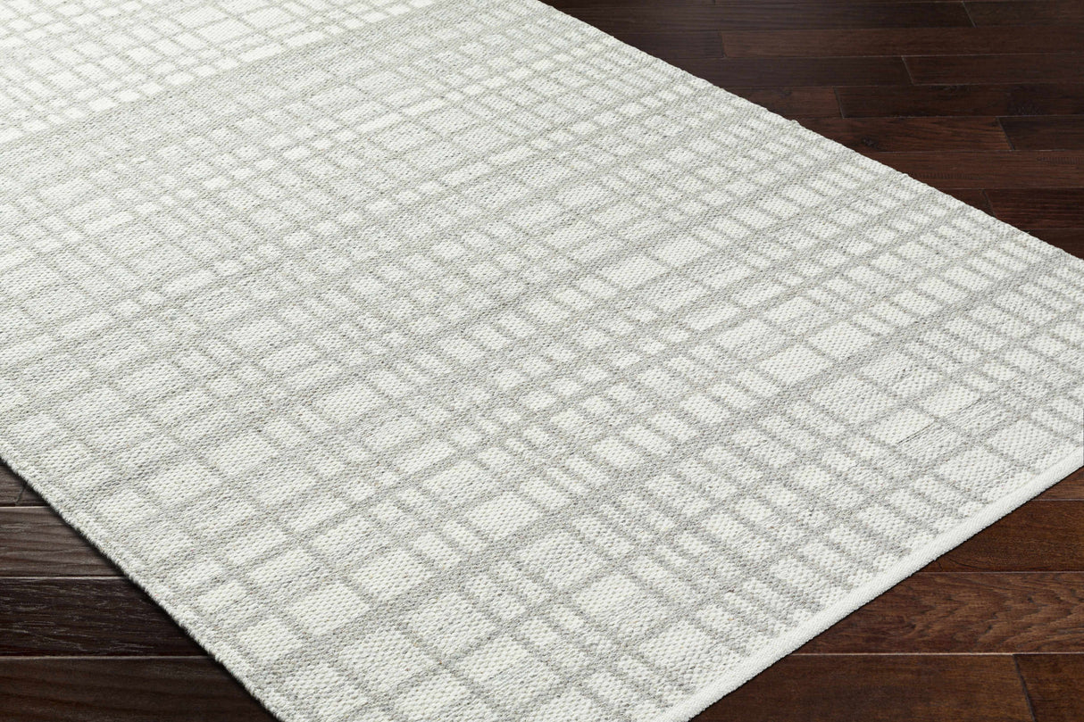 Nissa Light Gray Area Rug - Clearance