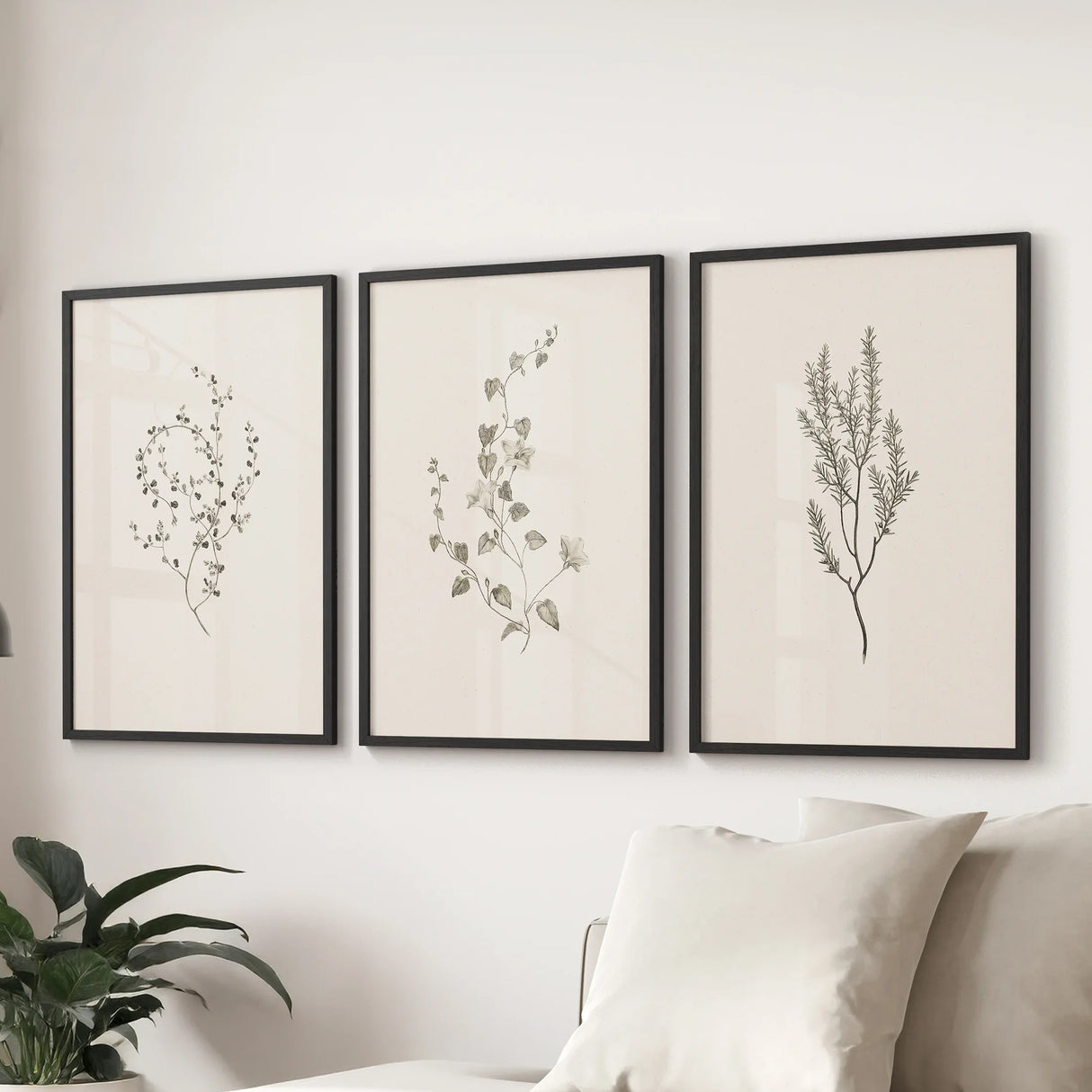 Vintage Dried Flower Wall Art. Set of 3 Rustic Botanical Prints