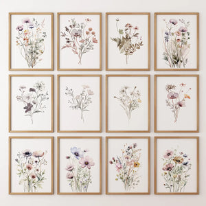 Neutral Wildflower Wall Art Set of 12. Botanical Prints
