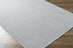 Nuela Light Gray Area Rug - Clearance