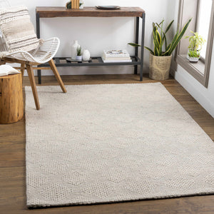 Ingram Area Rug - Clearance