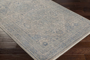 Nira Area Rug - Clearance