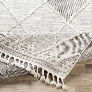 Norvelt High/Low Pile Rug with Tassels