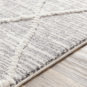 Norvelt High/Low Pile Rug with Tassels