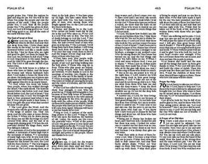 Unique The New Life Bible For Teen Girls