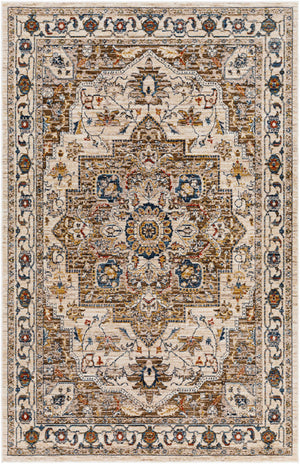 Anas Traditional Style Rug - Clearance