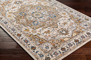 Anas Traditional Style Rug - Clearance