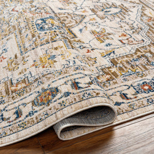 Anas Traditional Style Rug - Clearance
