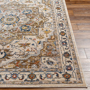 Anas Traditional Style Rug - Clearance