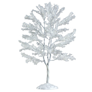 Snowy Black Walnut Tree