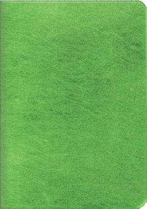 Soft Cover Foil Cover Mini Notebook 3 pack - Green/Gray/Red