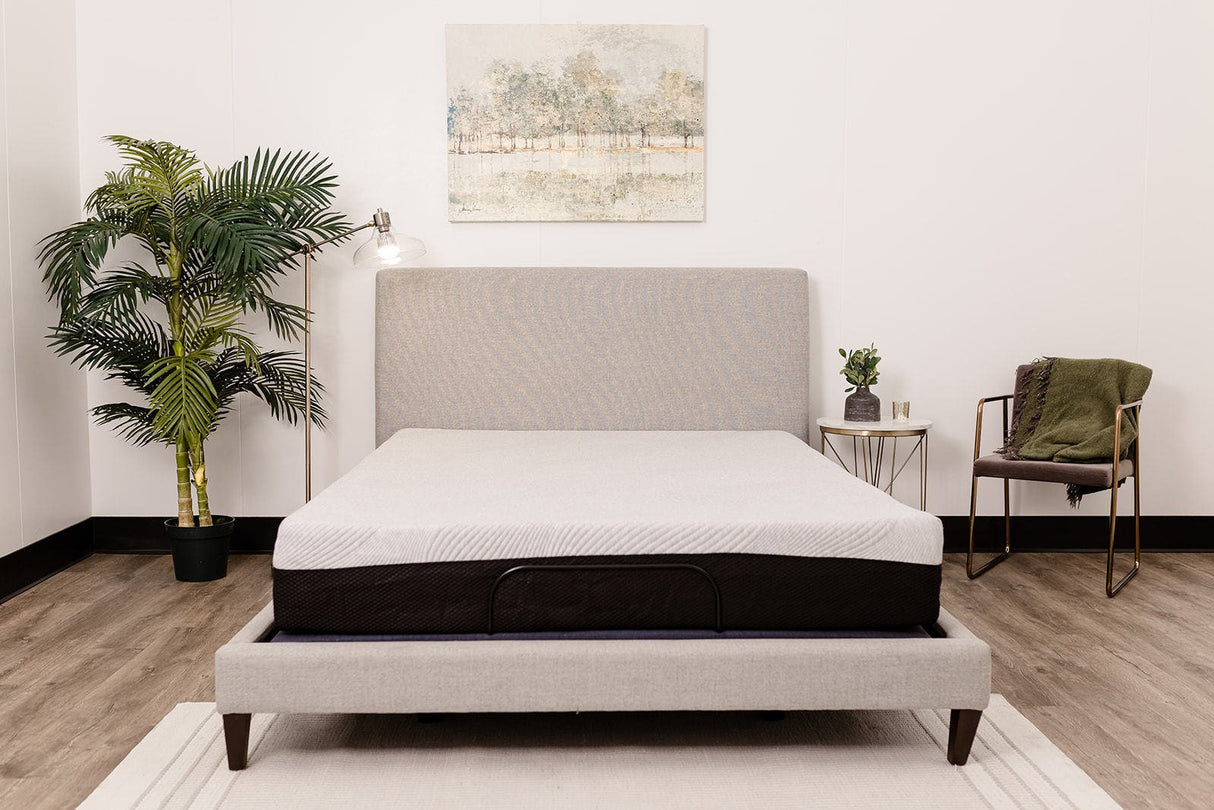 Omne 8" sleep comfort series firm gel memory foam tight top mattress - Tuesday Morning - Mattresses
