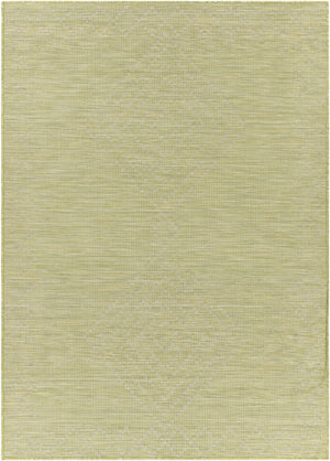 Oolitic Area Rug - Clearance