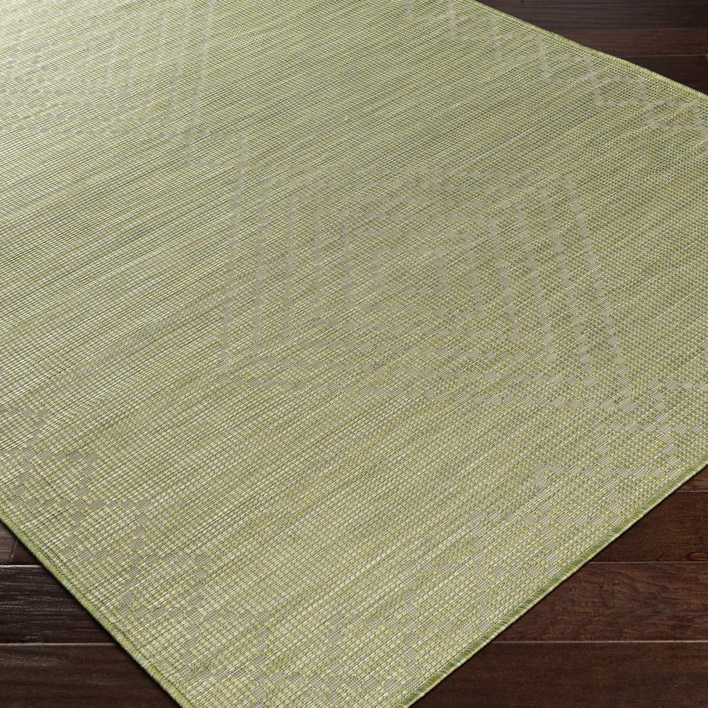 Oolitic Area Rug - Clearance
