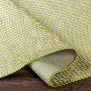 Oolitic Area Rug - Clearance