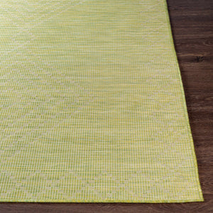 Oolitic Area Rug - Clearance