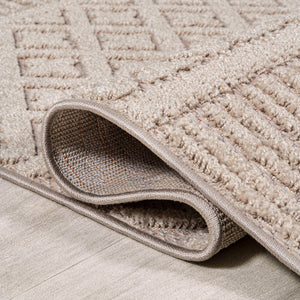 Ormond High - Low Modern Trellis Geometric Indoor/Outdoor Runner Rug - Tuesday Morning - Runner Rugs