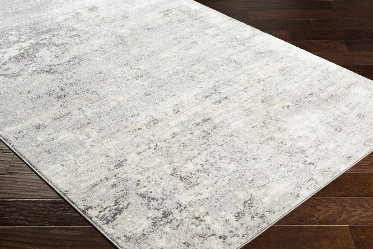 Ortonville Abstract Gray Rug