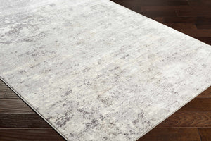Ortonville Abstract Gray Rug