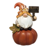 Fall Gnome Pumpkin -