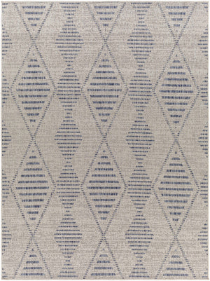 Pagatin Indoor & Outdoor Rug - Clearance