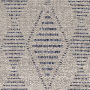 Pagatin Indoor & Outdoor Rug - Clearance