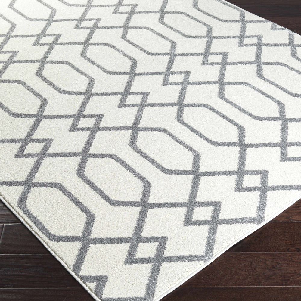 Parksley Area Rug - Clearance