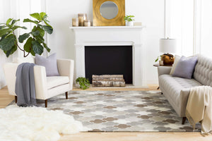 Paron Area Rug - Clearance