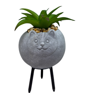 Faux Green Succulent In Planter - Cat