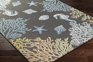 Pasca Charcoal Outdoor Area Rug - Clearance