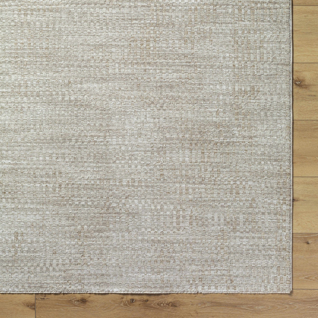 Pabla Light Gray Area Rug