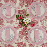 MAGNOLIA GINGHAM PINK WHITE TRIM FABRIC PLACEMAT NAPKIN SET