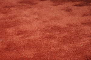 Pinto Area Rug - Clearance