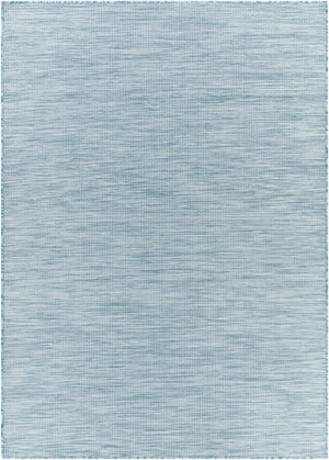Ponemah Area Rug - Clearance