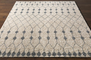 Pooleville Area Rug - Clearance