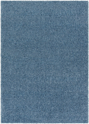 Potot Area Rug - Clearance