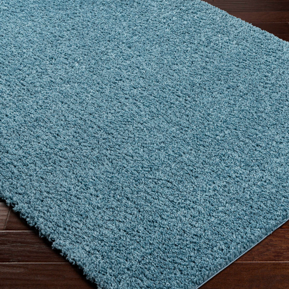 Potot Area Rug - Clearance
