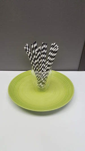 [PS21X100] paper straws ii