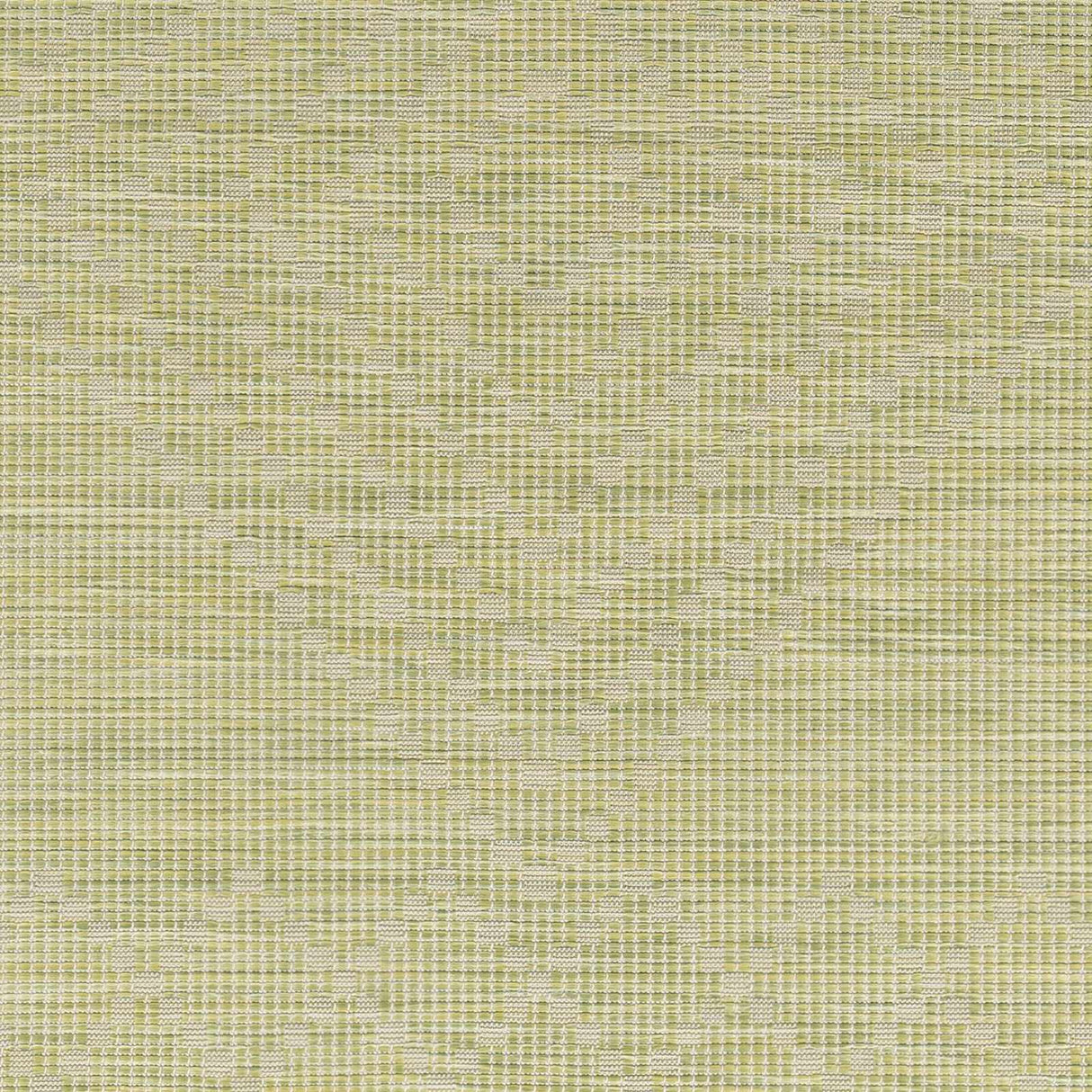 Oolitic Area Rug - Clearance