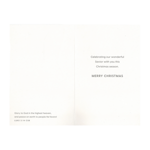 Tony Evans - Christ is the Meaning - 18 Cards