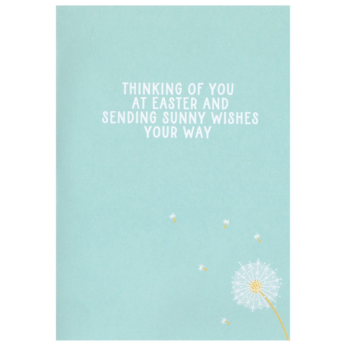 Cotton Tail Bunny and Daisies Easter Card